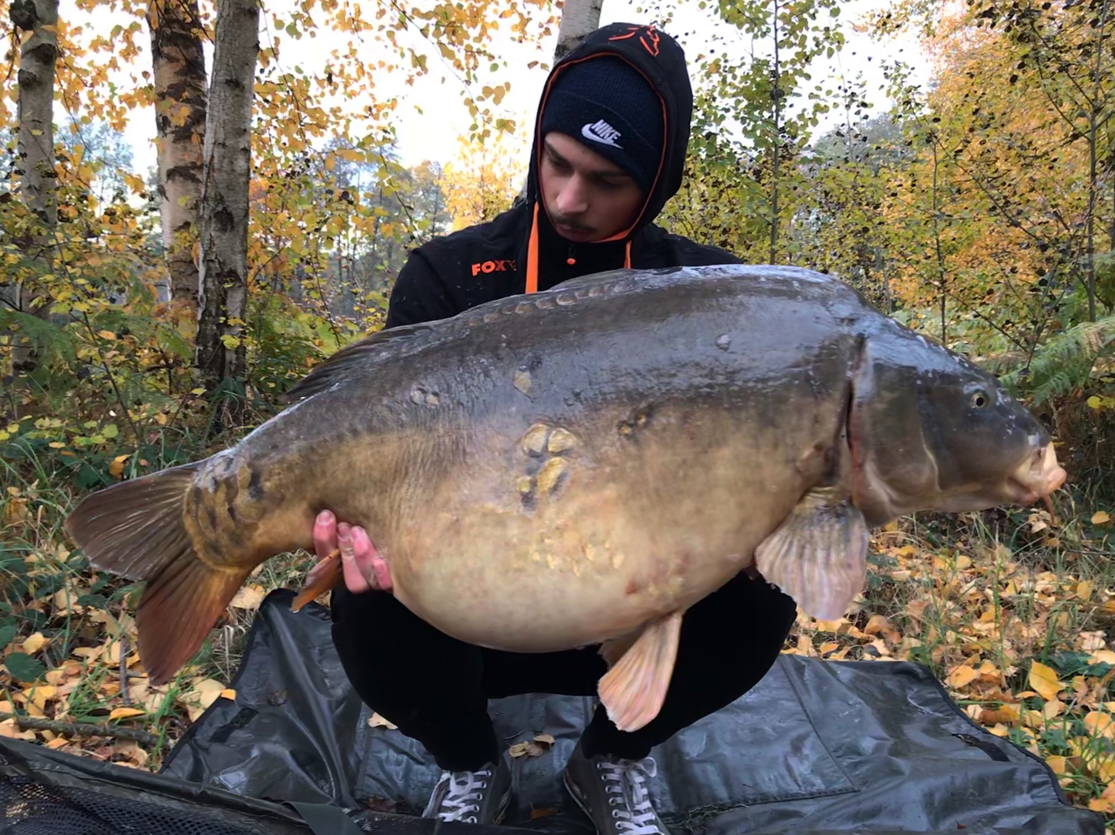 Luke Bachmann<img src="https://carp-royal.de/wp-content/uploads/2019/03/iconfinder_Germany_298451.png" class="country" />