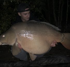 David Bittner<img src="https://carp-royal.de/wp-content/uploads/2019/03/iconfinder_Germany_298451.png" class="country" />