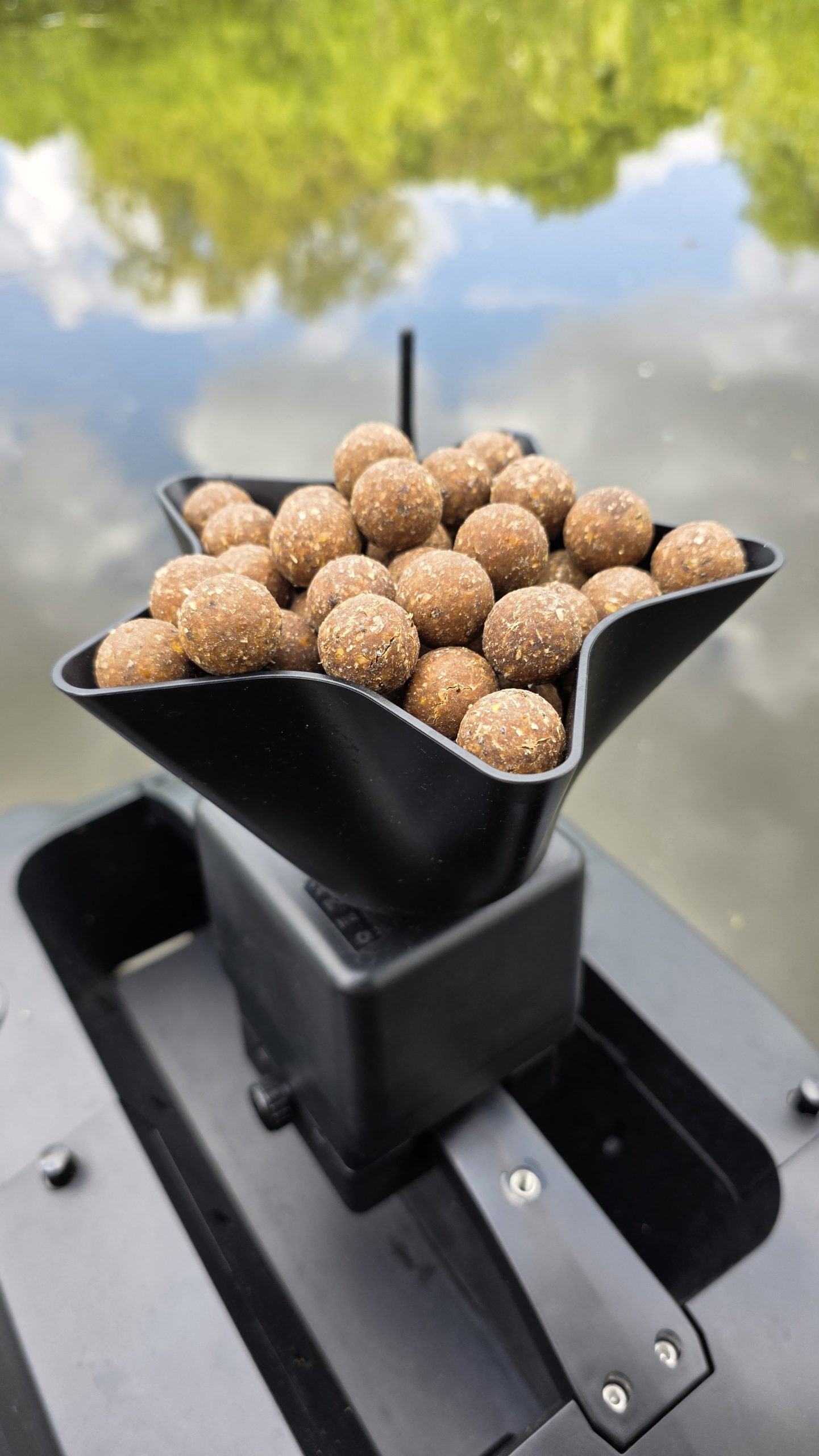 CARP ROYAL HURRICANE MIT FERNBEDIENUNG PULSE